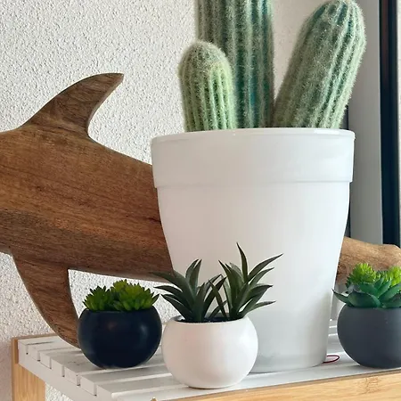 4 Pers Avec 2 Piscines à 5 Min De La - Les Floralies 2 Appartamento